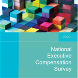 2023 National Executive Compensation Survey Report