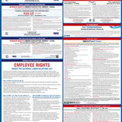 Federal Contractors Edition Poster (English)